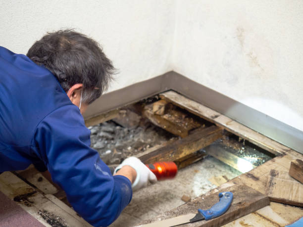 Best Crawl Space Mold Removal  in Addison, WV