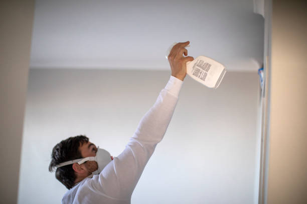 Best Residential Mold Removal  in Addison, WV